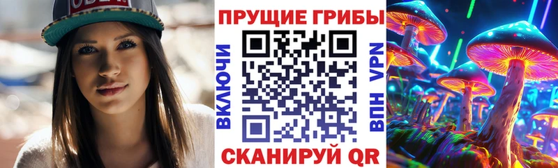 купить наркоту  Дно  Псилоцибиновые грибы Magic Shrooms 